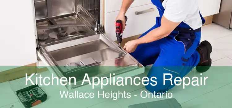 Kitchen Appliances Repair Wallace Heights - Ontario