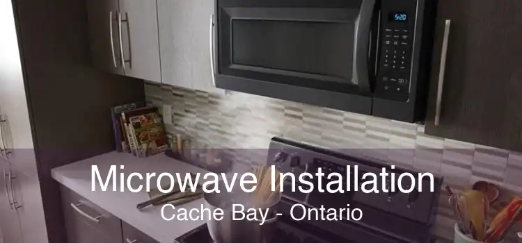 Microwave Installation Cache Bay - Ontario