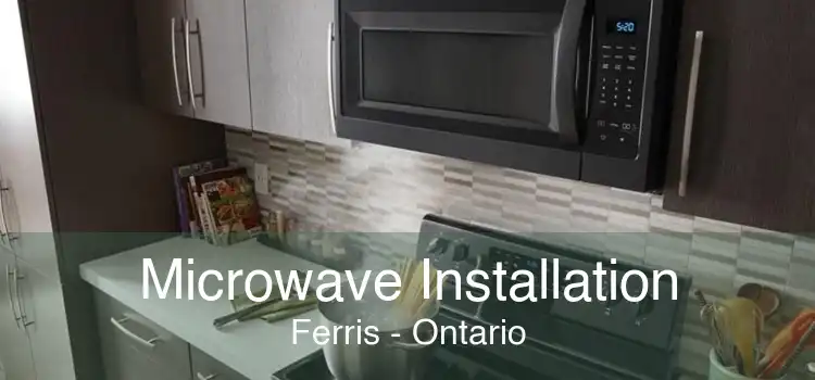 Microwave Installation Ferris - Ontario
