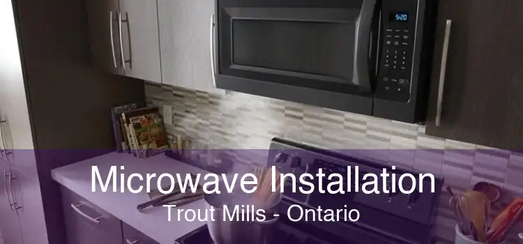 Microwave Installation Trout Mills - Ontario