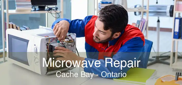 Microwave Repair Cache Bay - Ontario