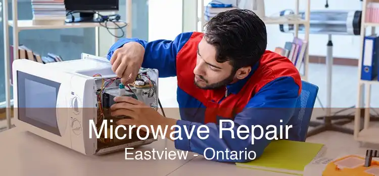 Microwave Repair Eastview - Ontario
