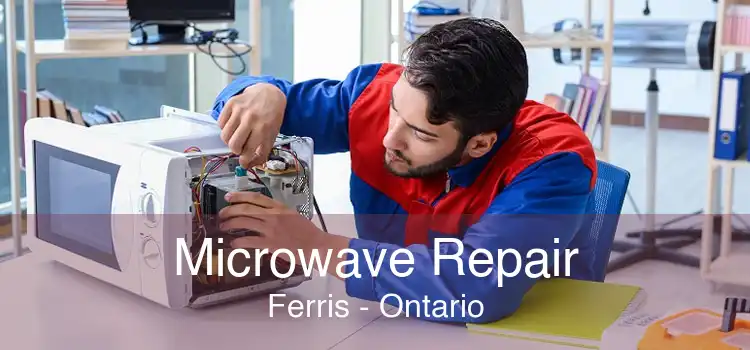 Microwave Repair Ferris - Ontario