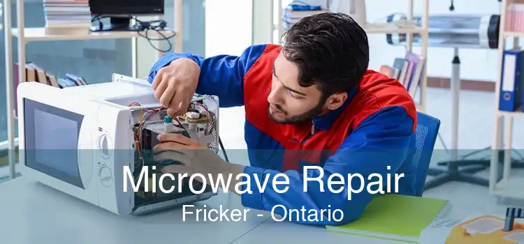Microwave Repair Fricker - Ontario
