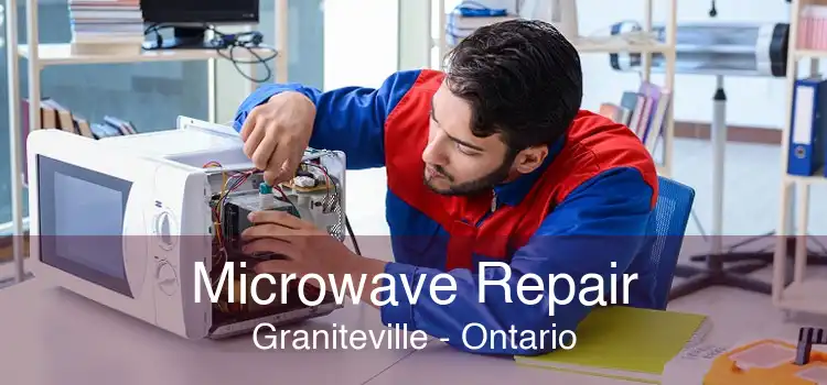Microwave Repair Graniteville - Ontario