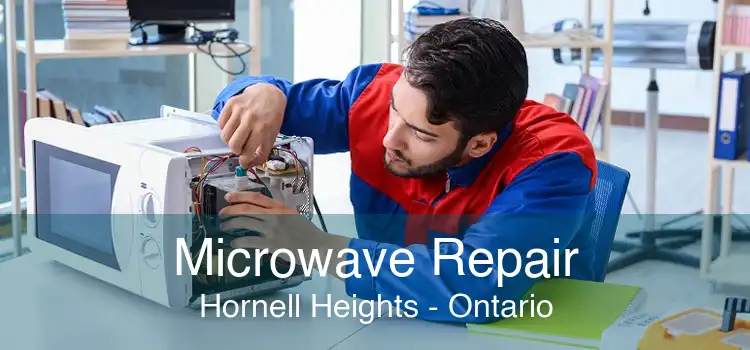 Microwave Repair Hornell Heights - Ontario