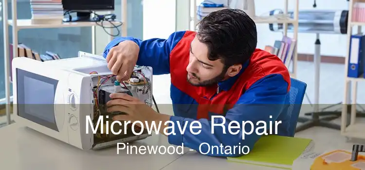 Microwave Repair Pinewood - Ontario