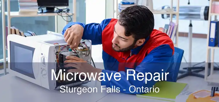 Microwave Repair Sturgeon Falls - Ontario