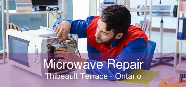 Microwave Repair Thibeault Terrace - Ontario