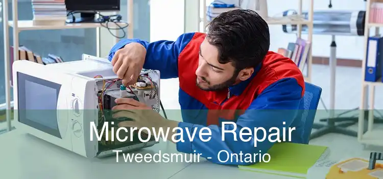 Microwave Repair Tweedsmuir - Ontario