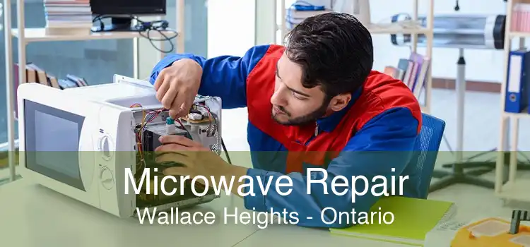 Microwave Repair Wallace Heights - Ontario