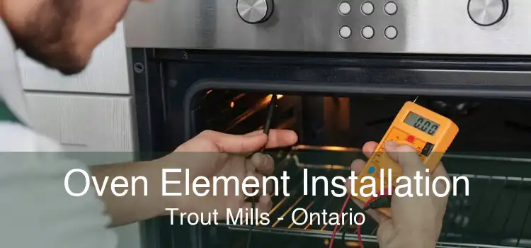 Oven Element Installation Trout Mills - Ontario