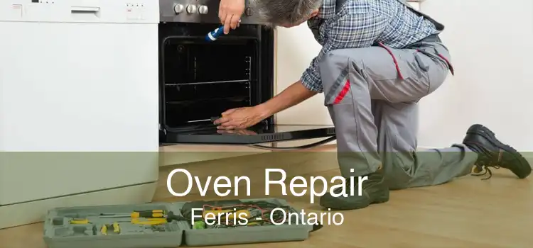 Oven Repair Ferris - Ontario