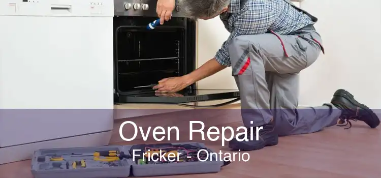 Oven Repair Fricker - Ontario