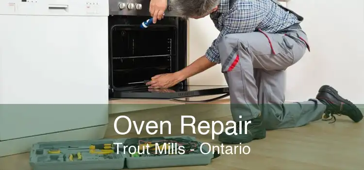 Oven Repair Trout Mills - Ontario