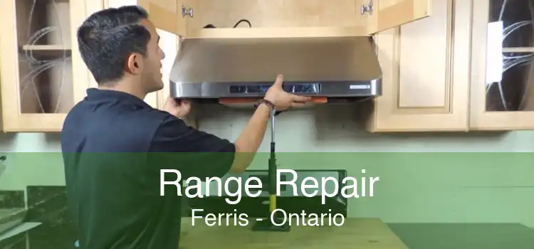 Range Repair Ferris - Ontario