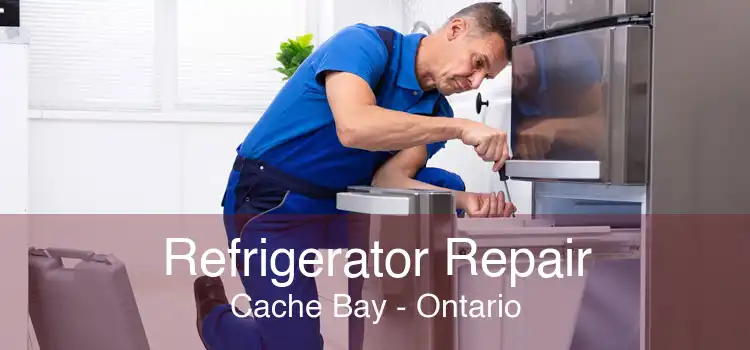 Refrigerator Repair Cache Bay - Ontario