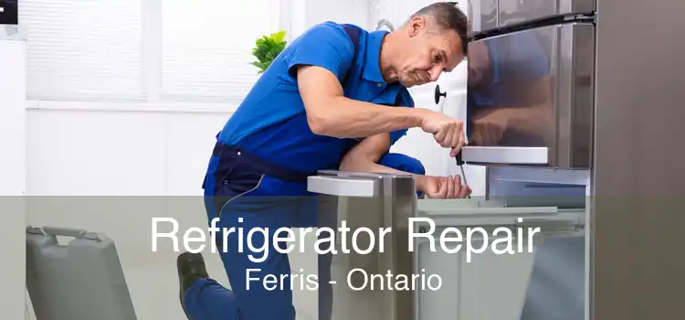 Refrigerator Repair Ferris - Ontario
