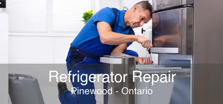 Refrigerator Repair Pinewood - Ontario