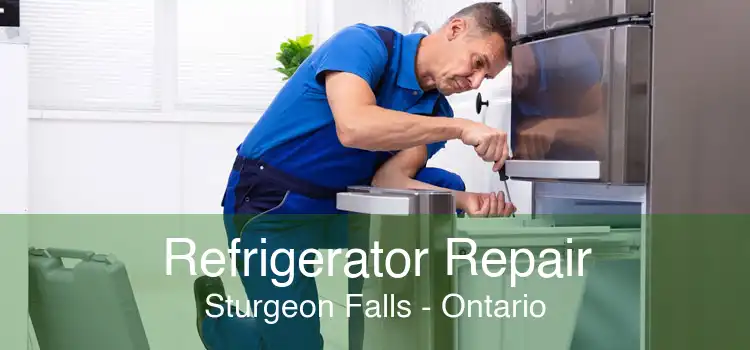 Refrigerator Repair Sturgeon Falls - Ontario
