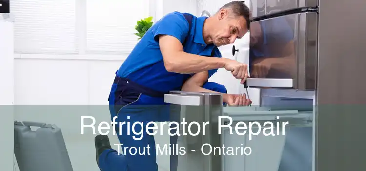 Refrigerator Repair Trout Mills - Ontario