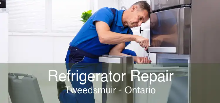 Refrigerator Repair Tweedsmuir - Ontario