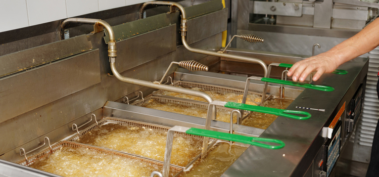 Zephyr Commercial Fryer Repair in North Bay