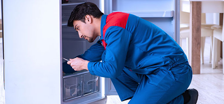 Zephyr Freezer Repair Services in North Bay